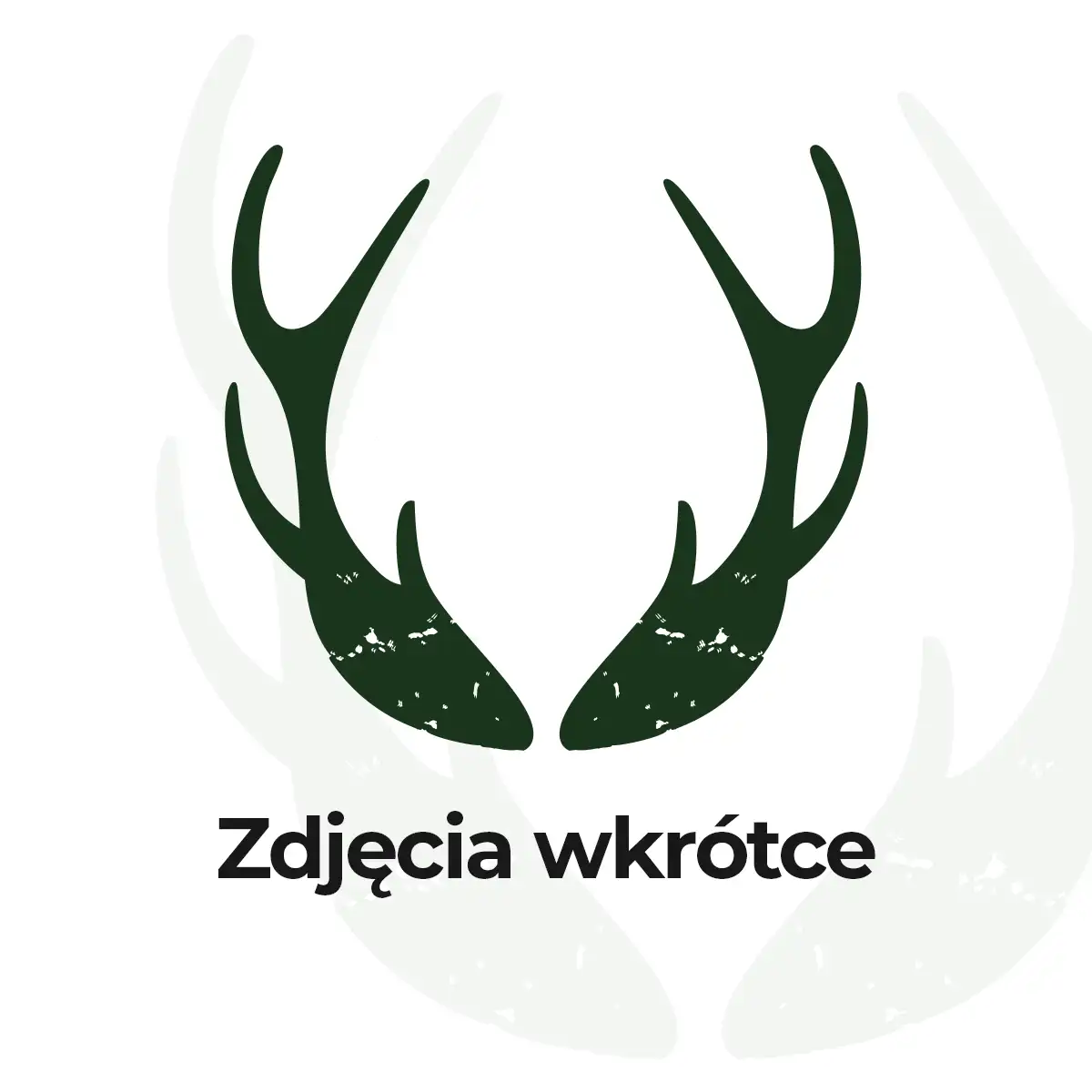 Symbol zastępczy